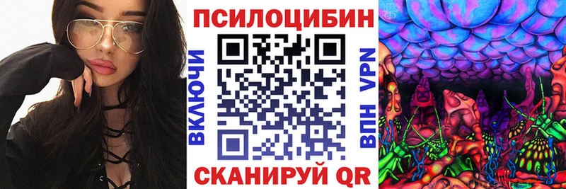 дарнет шоп  Кукмор  Галлюциногенные грибы прущие грибы 